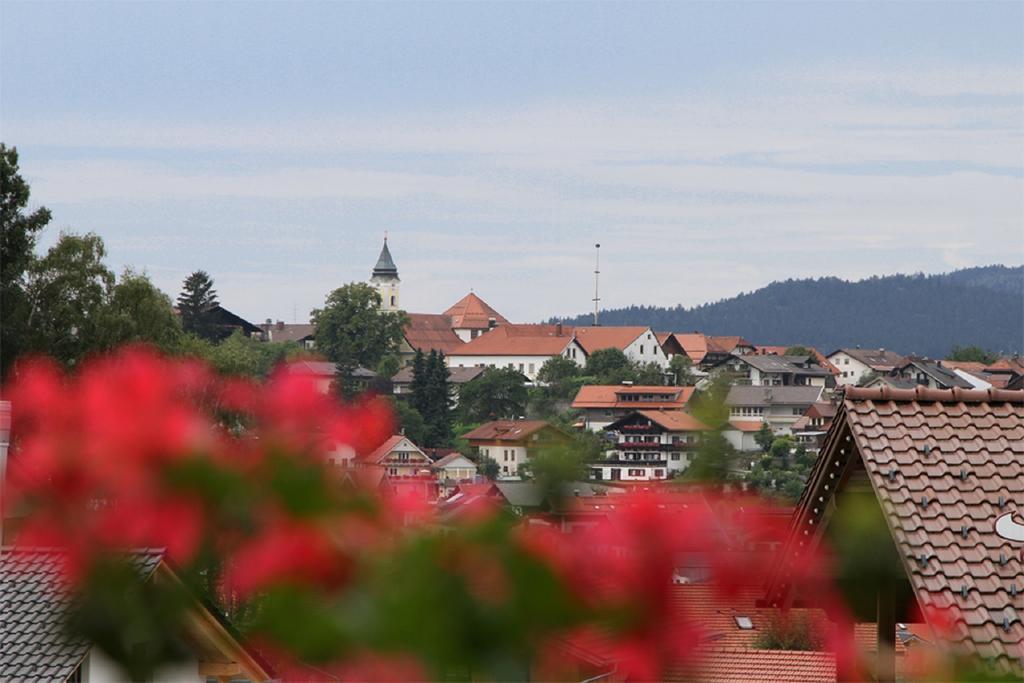 Pension Anderl Bodenmais Buitenkant foto